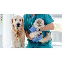 Beestige babbel: Dierenarts Ine