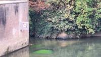 Wandeling 'Rivieren van Leuven'