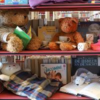 Teddyberen sleep-over (3-10j)