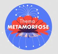 Letters bij de Lunch - Metamorfose