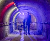 1ste zondag van de maand : Toegang + Rondleiding (NL)